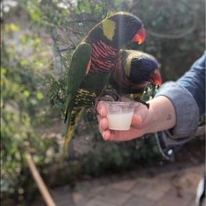 Meet your Posher, Mariah